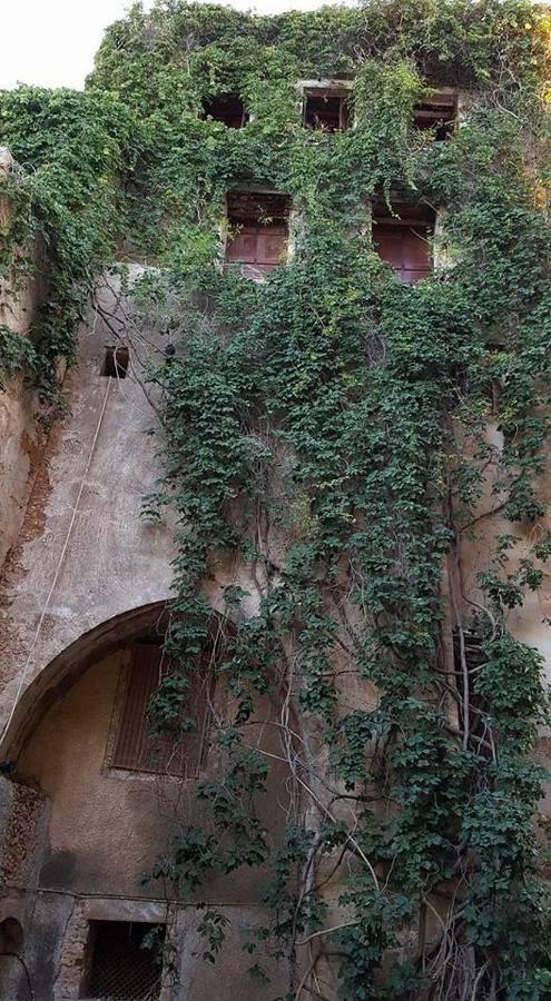 Stella Hotel Chrissi Akti Chania Exterior foto