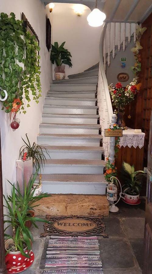 Stella Hotel Chrissi Akti Chania Exterior foto