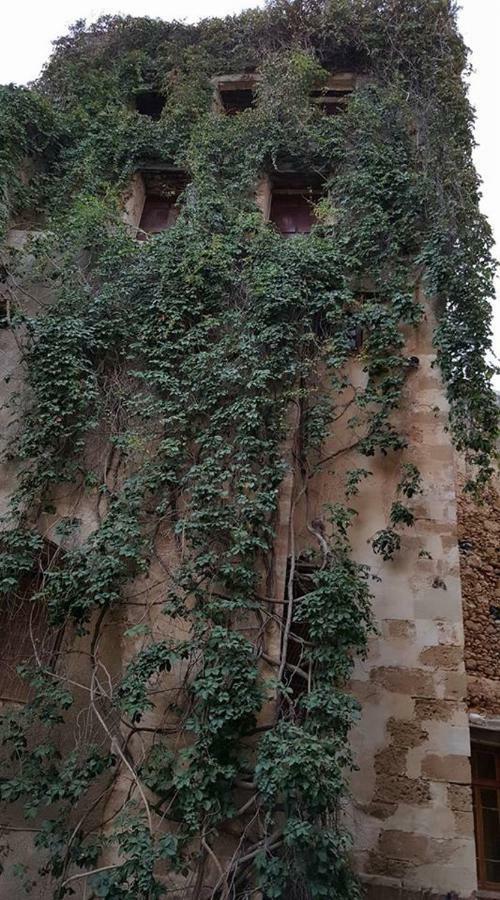 Stella Hotel Chrissi Akti Chania Exterior foto